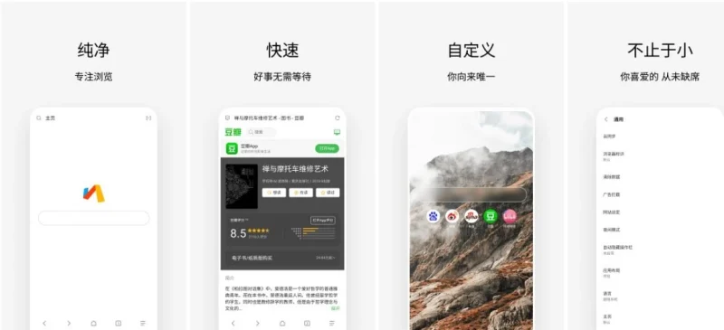 Via浏览器 v7.2.0.b16 解限版 简洁轻快的浏览器，无广告、简约、强大，支持调用IDM-主题测试