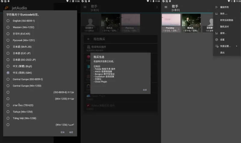 jetAudio v13.1.2 最强音乐播放器，高级多语言版-主题测试