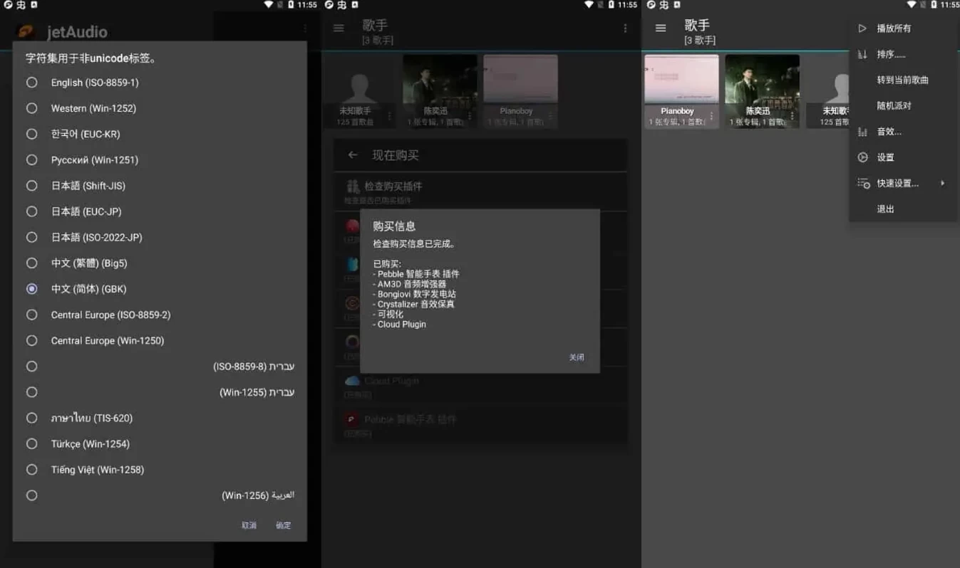 图片[1]-jetAudio v13.1.2 最强音乐播放器，高级多语言版-主题测试