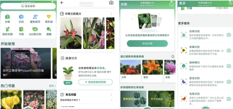 PictureThis Plant Identifier 植物识别软件 v5.27.0 简洁无广告-主题测试