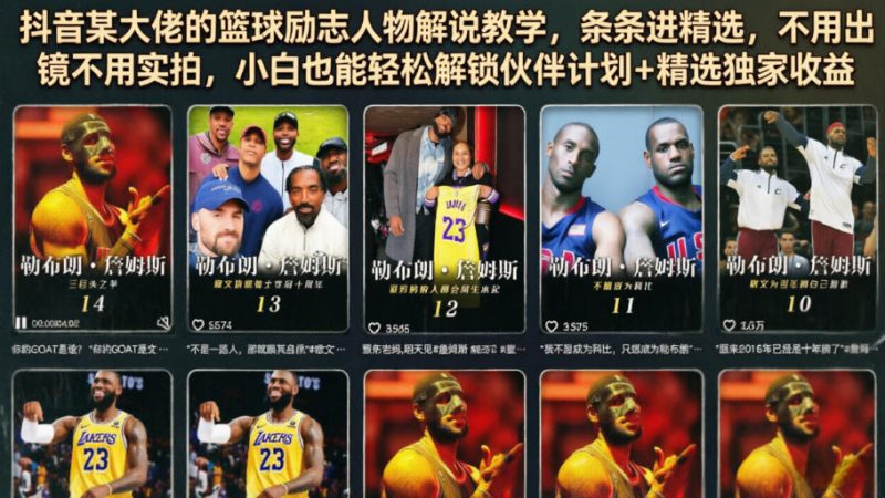 抖音某大佬的篮球励志人物解说教学，条条进精选，不用出镜不用实拍，小白也能轻松解锁伙伴计划+精选独家收益-主题测试