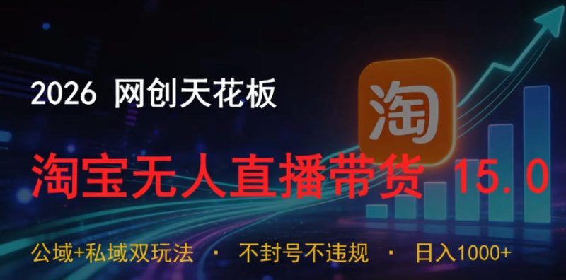 2026网创天花板，淘宝无人直播带货15.0，公域+私域双玩法，日入1k+，不违规不封号【揭秘】-主题测试