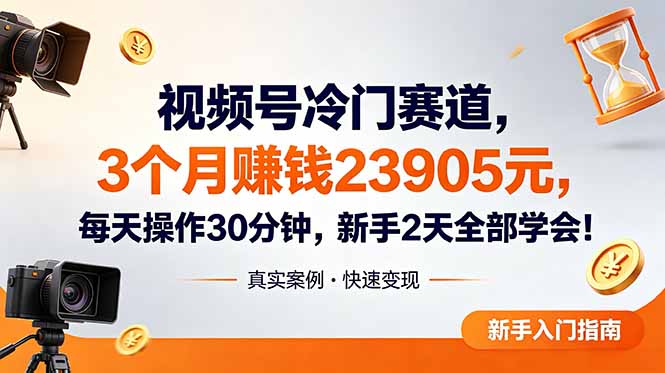 视频号冷门赛道，3个月变现23905元，新手2天学会 每天操作30分钟！-主题测试