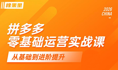 仙道电商·拼多多零基础运营实战课-主题测试
