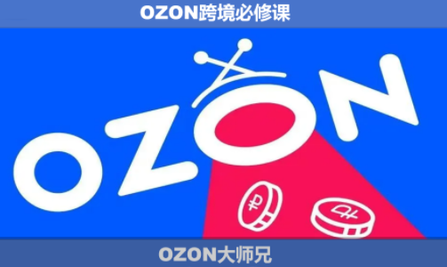 OZON大师兄·OZON跨境必修课(更新6月)-主题测试