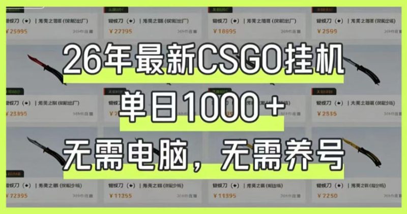 26年最新CSGO挂G系统,单日1000+,无需电脑,无需养号,0基础可上手【揭秘】-主题测试