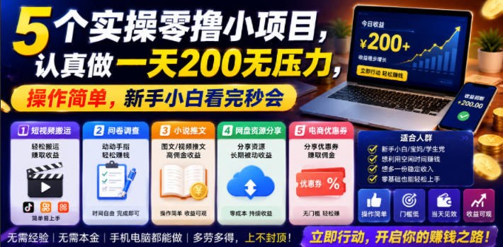 5个实操零撸小项目，认真做一天200无压力，操作简单，新手小白看完秒会【揭秘】-主题测试
