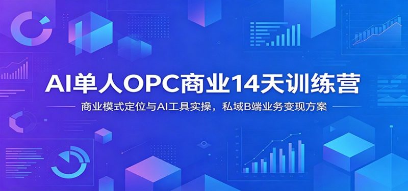 AI单人OPC商业14天训练营：商业模式定位与AI工具实操，私域B端业务变现方案-主题测试