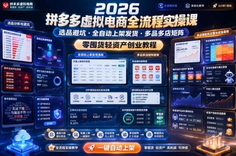 2026拼多多虚拟电商全流程实操课,选品避坑・全自动上架发货・多品多店矩阵,零囤货轻资产创业教程-主题测试