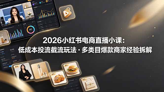 2026小红书电商直播小课，低成本投流截流玩法，多类目爆款商家经验完整拆解教学-主题测试