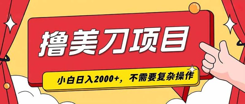撸美刀，单日收入2000+，小白可做-主题测试