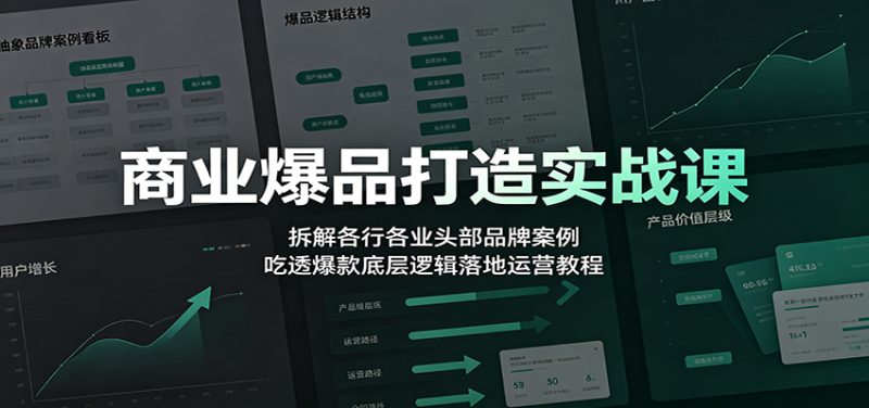 商业爆品打造实战课：拆解各行各业头部品牌案例，吃透爆款底层逻辑落地运营教程-主题测试