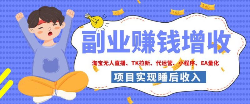 2026年多个真实落地副业项目，手把手带你搭建被动收入管道(淘宝无人直播、海外TK拉新、CSGO饰品交易、去水印小程序等)【揭秘】-主题测试