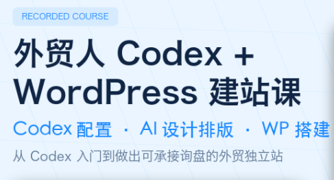 外贸人Codex + WordPress建站课-主题测试